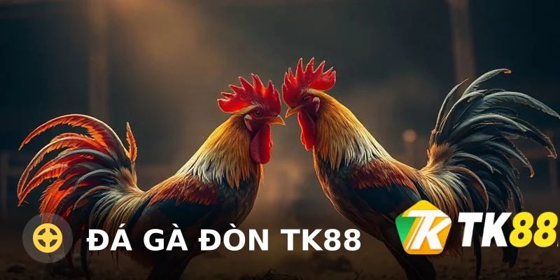 Đá gà đòn TK88 – Kinh nghiệm chơi và chiến thuật hiệu quả